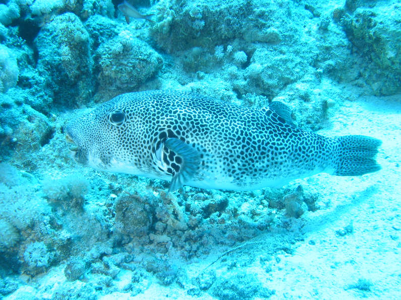 img_1687-org.jpg 0 kB